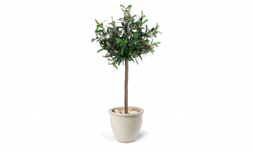 Plante artificielle -...