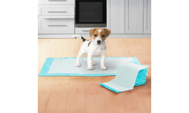 Tapis éducateur pour chien - lot de 100