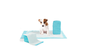 Tapis éducateur pour chien - lot de 100