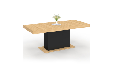 Table à manger extensible Tania bois et noir 200-250cm