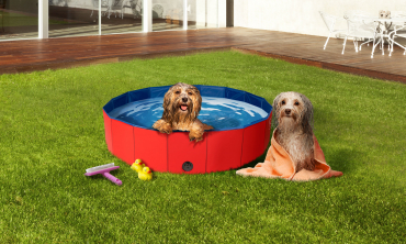 Piscine pour animaux