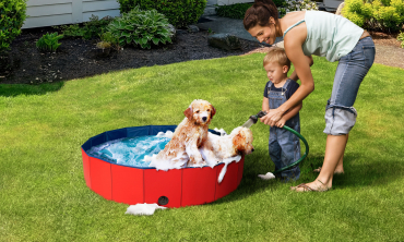Piscine pour animaux