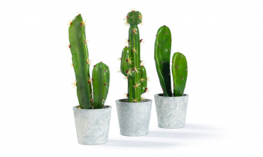 Plante artificielle - Set...
