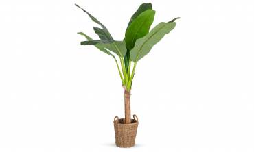 Plante artificielle - Bananier