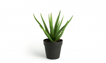 Plante artificielle - Aloe...